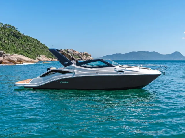 Fibrafort-Focker 272 GTC
