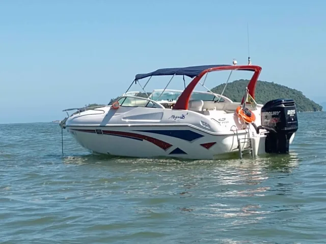 Magna-26
