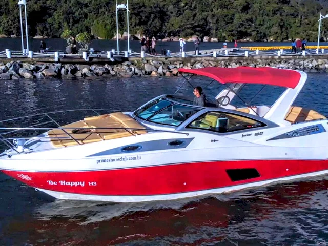 Fibrafort Focker 310 GT