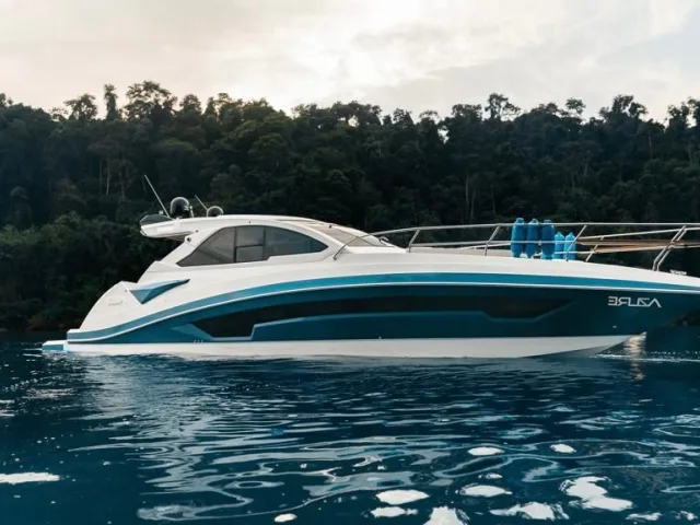 Azov Yachts-Z480 HT