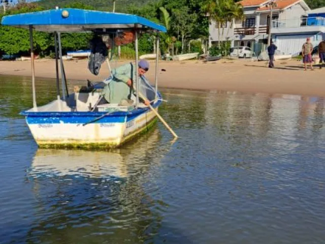 Beto Fibras-Ereé Bote