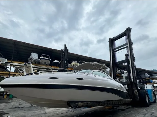 Magis-275 CX