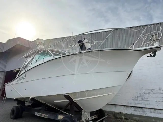 Sedna Yachts-XF 335