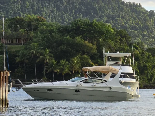 Real Powerboats 29