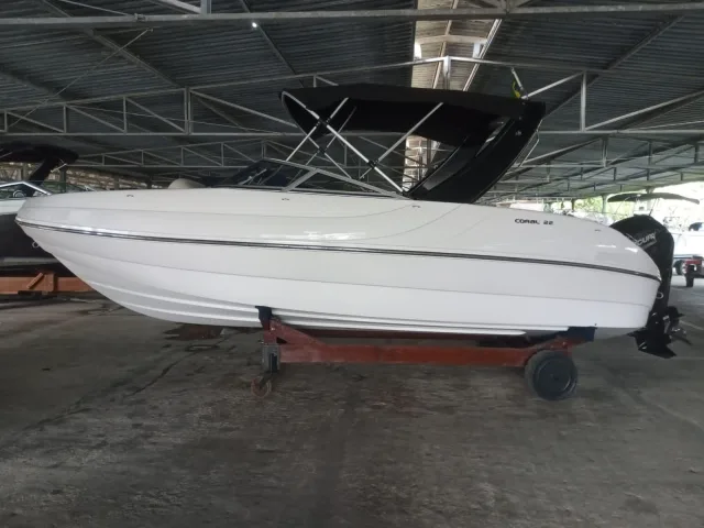 Lanchas Coral 22