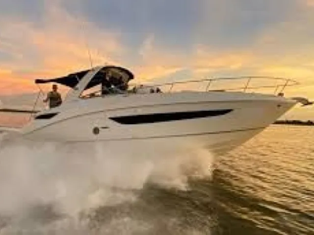 Sea Ray 375
